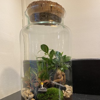 La petite forêt poétique 