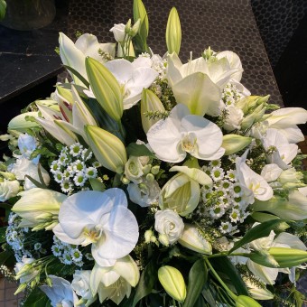 Coussin vert et blanc 