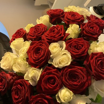 bouquet de roses 