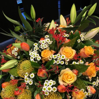 Coussin rond Coloré 